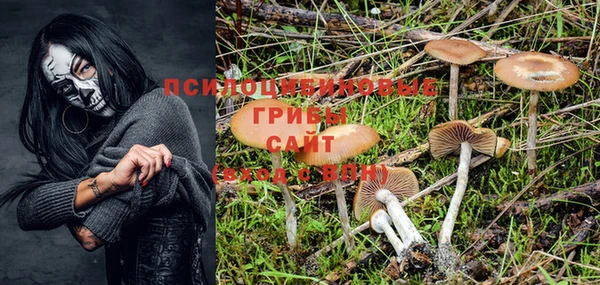 ПСИЛОЦИБИНОВЫЕ ГРИБЫ Бронницы