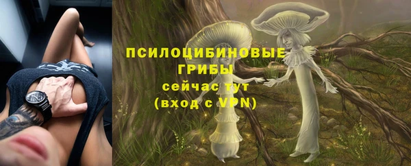 винт Бородино