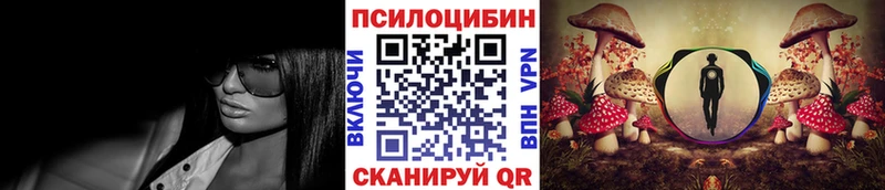 закладка Мезень Псилоцибиновые грибы MAGIC MUSHROOMS